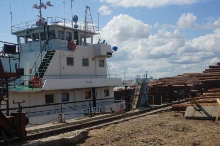 крупный с лесом 2