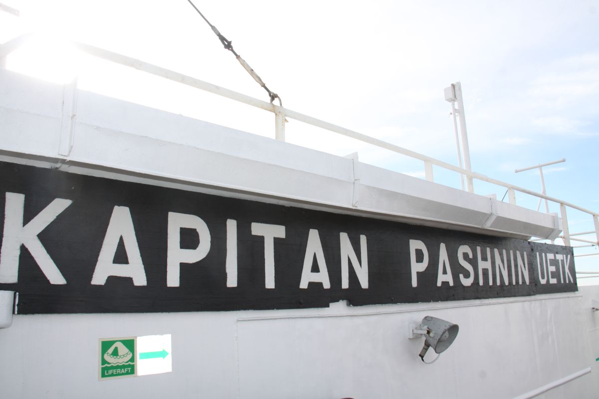 тх к пашнин