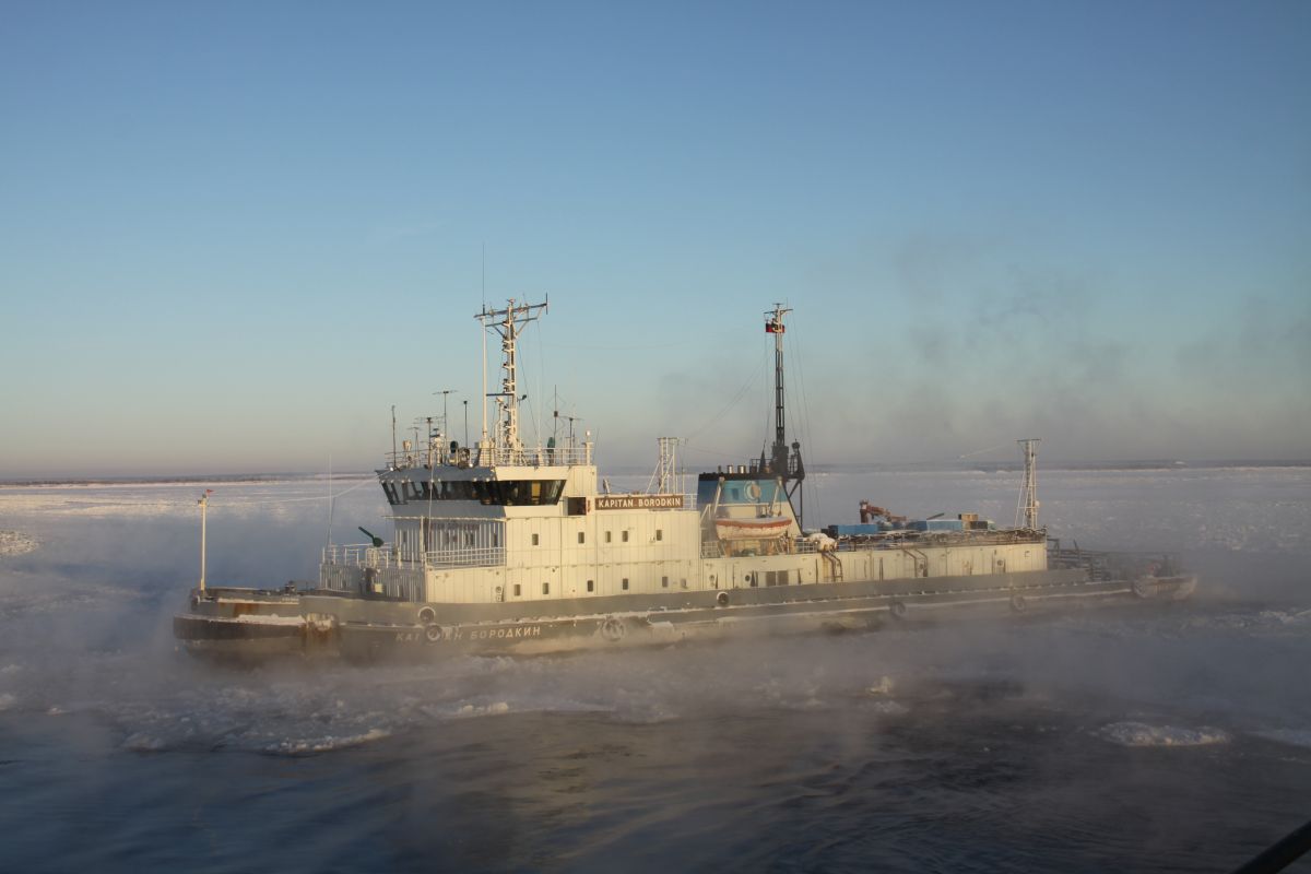 ледокол бородкин
