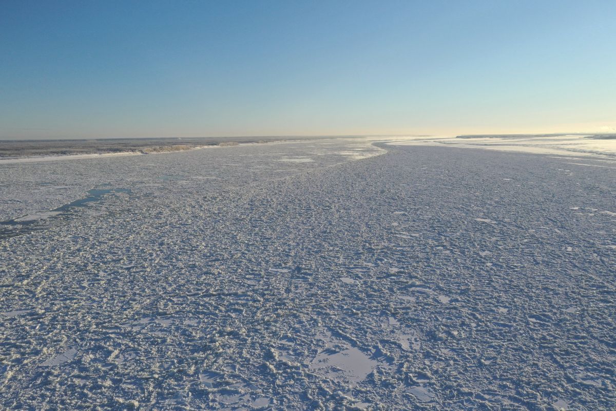 дн ледокол 3