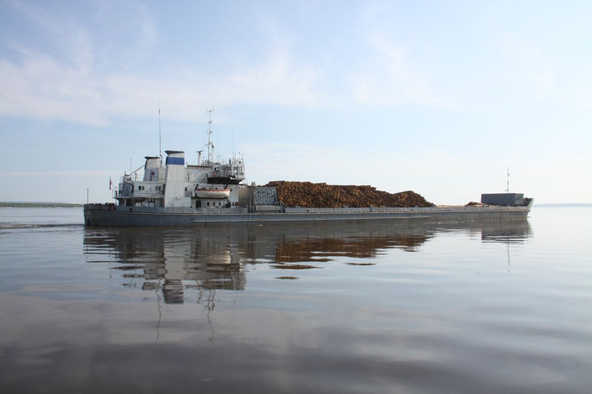 капитан богатырев