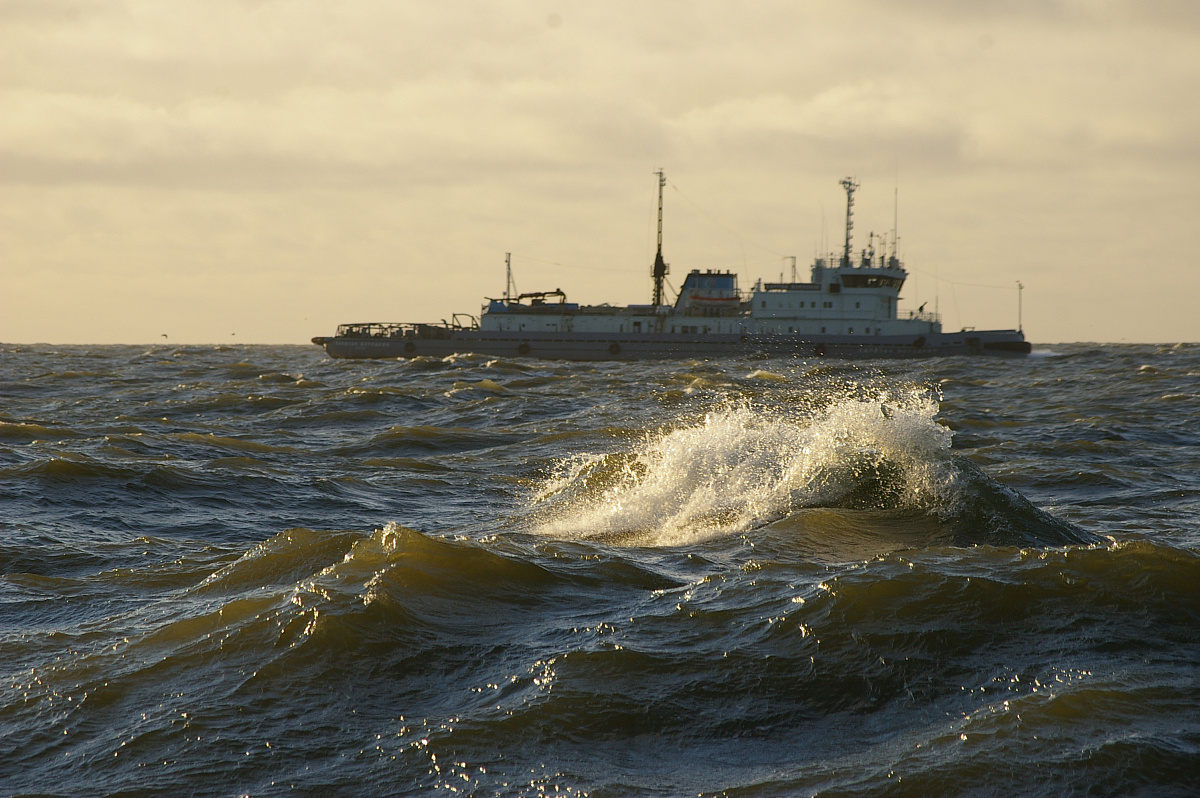 Перед Федеральным агентством морского и речного транспорта озвучены проблемные вопросы речников.